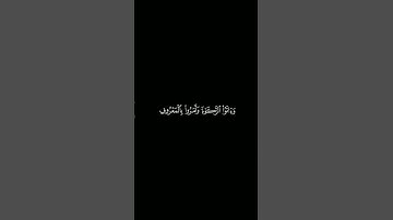 كروما آيات قرانية القارئ : ماهر المعيقلي | سورة الحج | آية ٤١