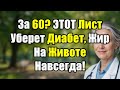За 60? ЭТОТ лист победит диабет и жир на животе! Секрет здоровья для пожилых