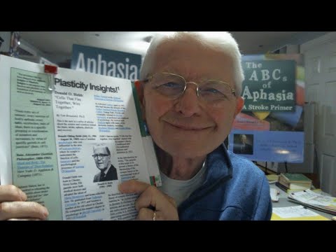 Video: O čom Donald Hebb teoretizoval?