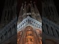 City Lights, Barcelona Nights #travel #europe #europe #spain #barcelona #shorts