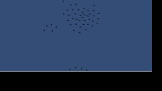 Flocking Birds - Boids Implementation