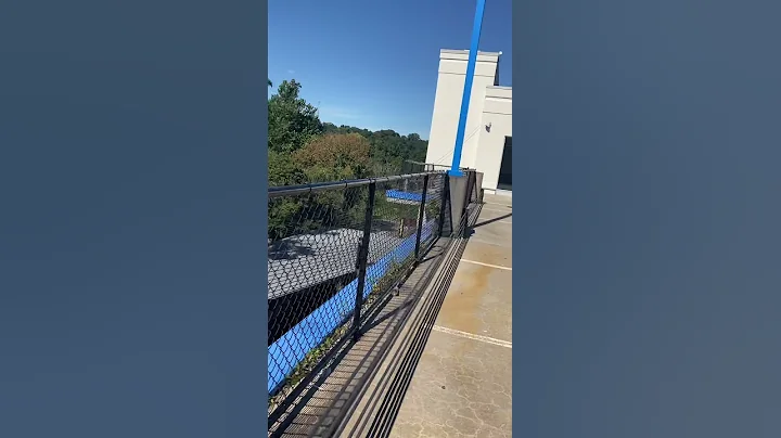 Enjoy the view