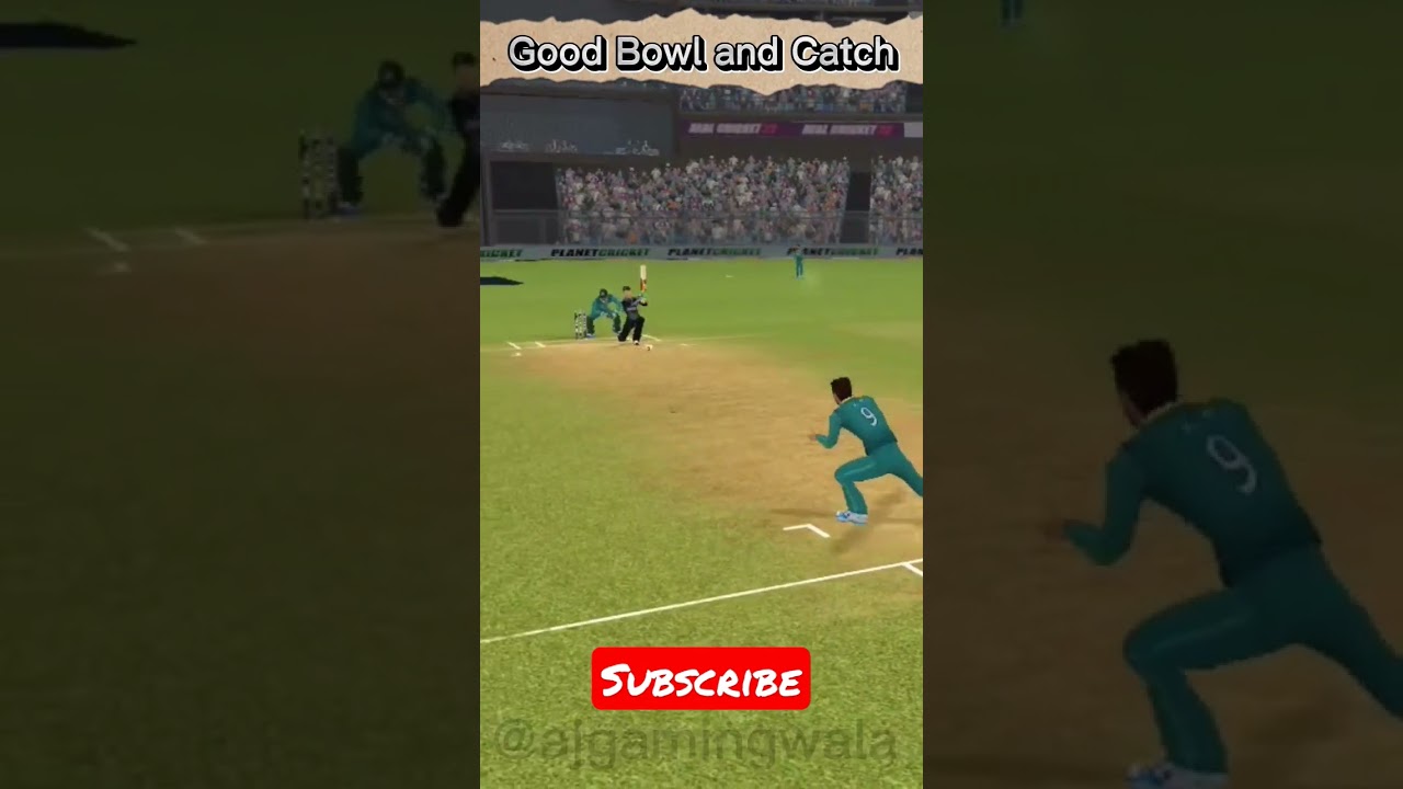 What a Catch Real Cricket 22 