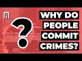 Alex Piquero talks with Karina about why people commit crimes