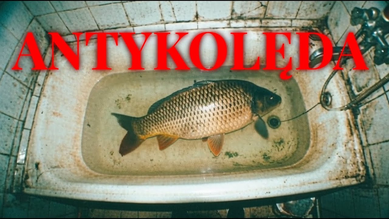 Maczeta Life - ANTYKOLĘDA 2025 [Oficjalny Teledysk]