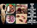 Spiritual powers of  kola nut for prayers  divination in african spirituality