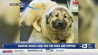 Bowling Green/Warren County Humane Society issues Code Red