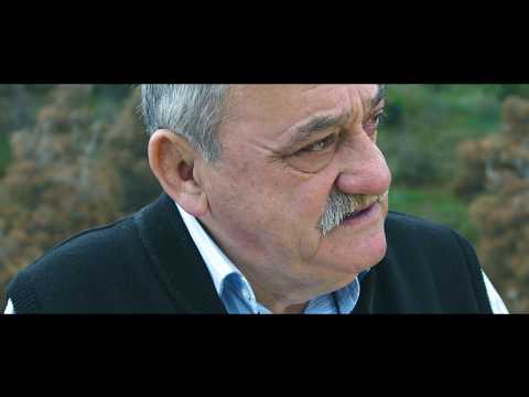 ახალი სიცოცხლე ჩვენს ქალაქს