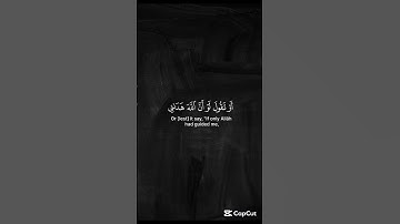 أَن تَقولَ نَفسٌ يا حَسرَتى عَلى ما فَرَّطتُ في جَنبِ اللَّه | عبد البديع غيلان | سورة الزمر
