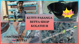 Bettas Unboxing | Thailand Shipment | Kutty Pasanga Betta Shop | Kolathur Fish Market | @80 Onwards