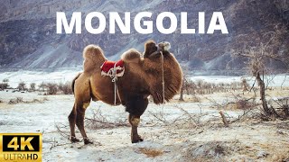 Mongolia Nature 4K Movie Video Ultra HD | 4K Mongolia Scenic Relaxation for Sleep | Quality Video screenshot 4