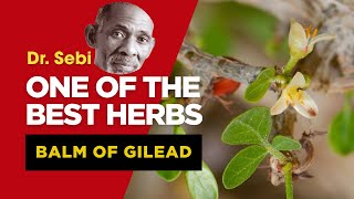 Detailed DR. SEBI - THIS IS ONE OF THE BEST HERBS (BALM OF GILEAD) #drsebi Details