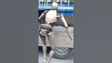 Robots raising pigs. -Robots in rural China