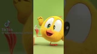 so cute chicky #shortsfeed #tiktok #chicks #viral #funny #followme