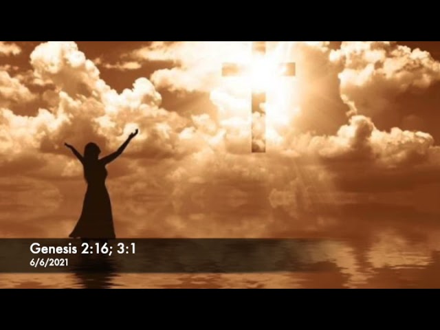 Series: Part 4- The Word: God's Presence