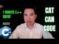 1 Minute C++ Queue | Cat Can Code