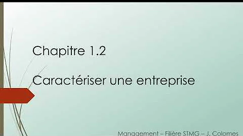 Comment caractériser une entreprise CEJM ?