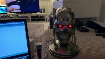 Talking Terminator T800 vinyl skull