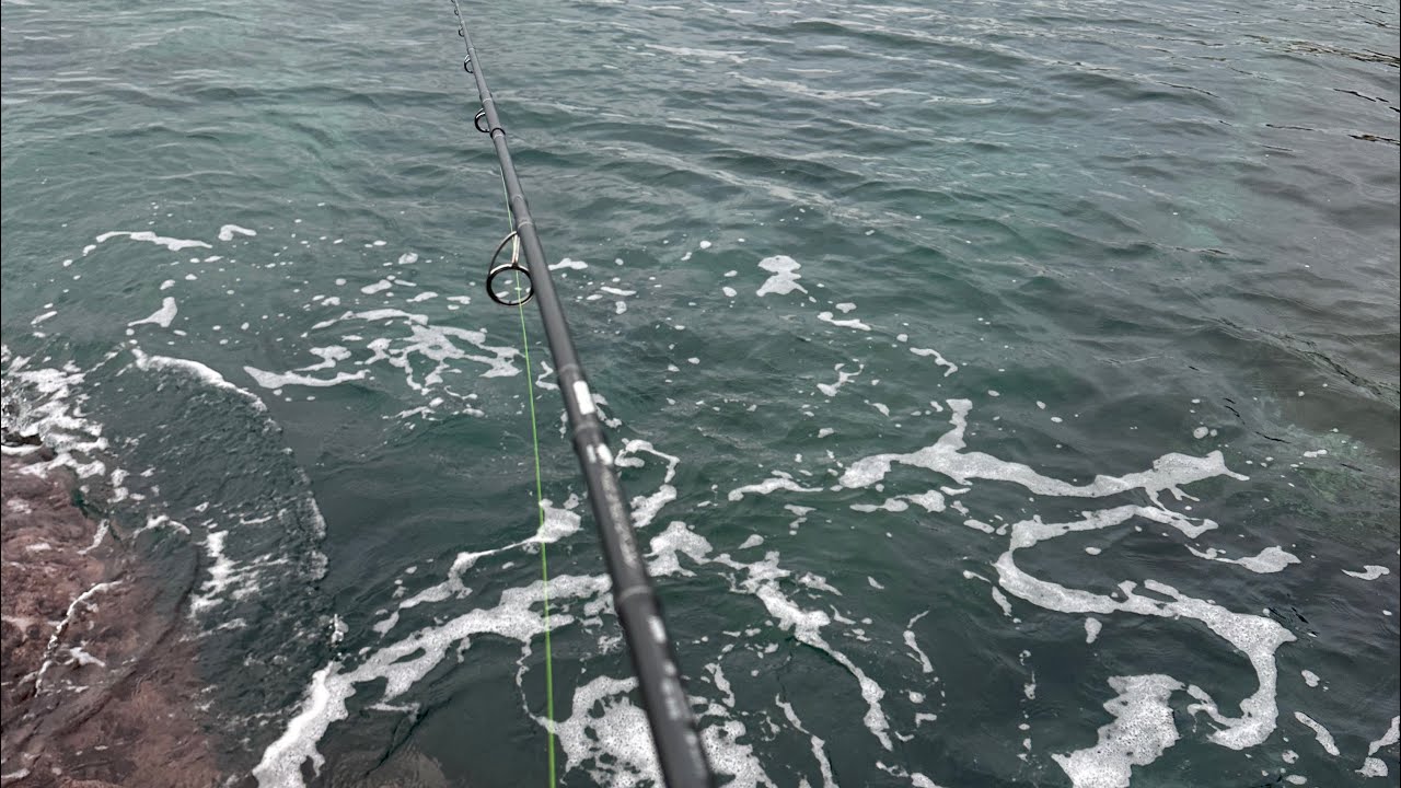 Sığ Mera Çipura Avı  (LRF) / Hanfish BIDIK #izmir #balık #çipura 