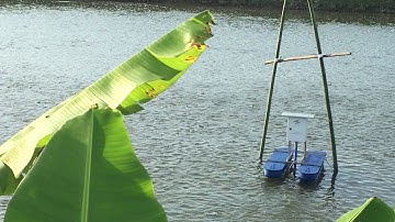 Lắp đặt hệ thống giám sát chất lượng nước tự động qua smartphone E-Sensor Aqua tại Lục Sĩ Thành