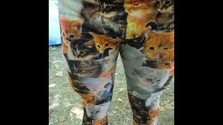 Hilby Cat Squats