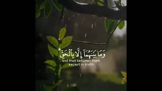 تلاوة تثلج نبض قلبك - القارئ هزاع البلوشي - حالات واتس دينية - قرآن -Quran