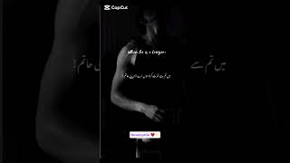 Haddah by Noor ul Ain Mustafa 💖✨