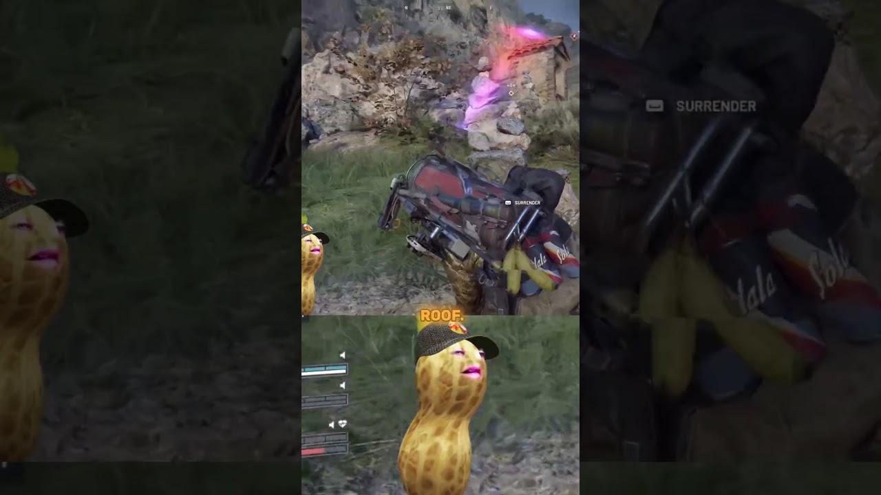 Арахис пытается посадить команду себе на спину.