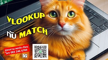EP 334 Professional Excel ภาคพิเศษ VLOOKUP + MATCH