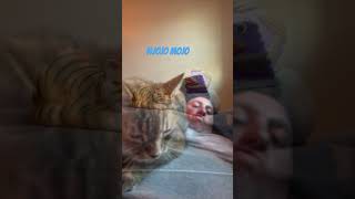 Download Lagu Jojo Mojo #music MP3