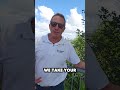 Feeling Overwhelmed by the Brisbane Property Market? Watch This