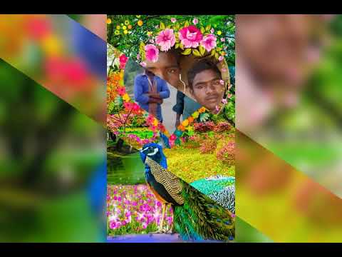 Santail Video 2018 (2019