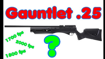 Gauntlet .25 What you need to know BEFORE you buy it! - Pelletonix