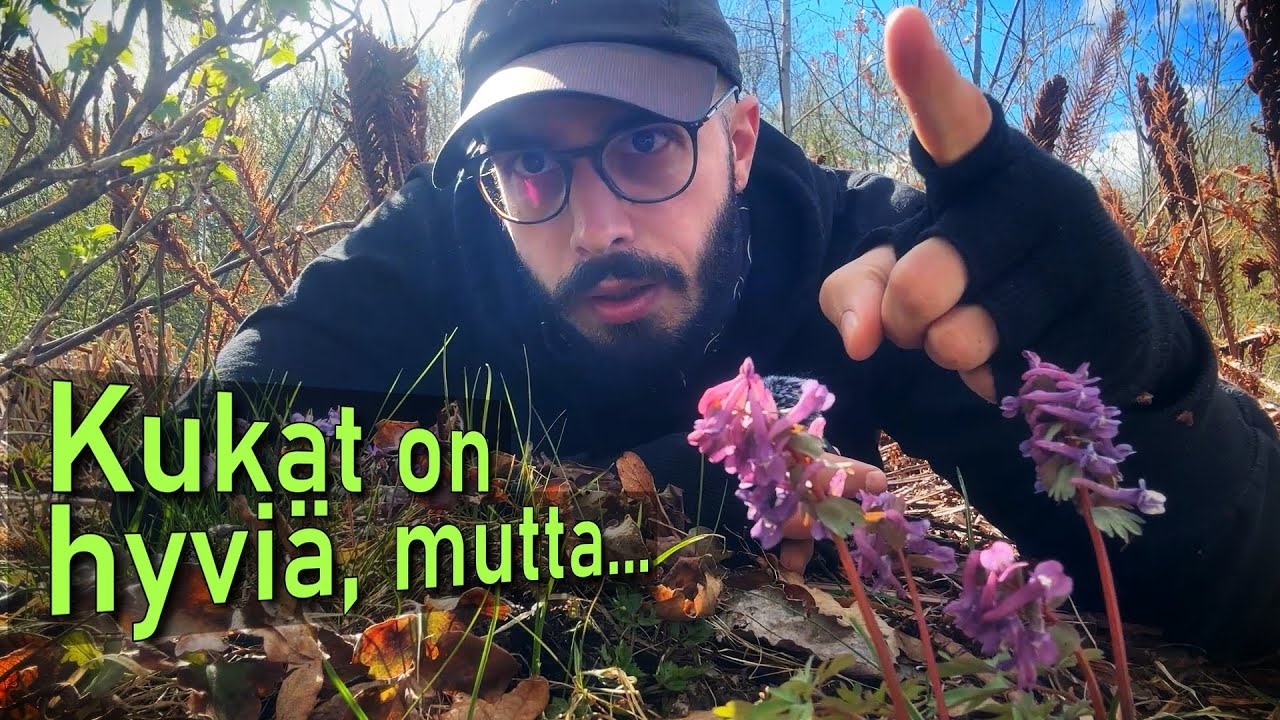 Näin pelastat jopa 80% pihasi pölyttäjistä!🐝