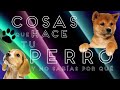 CURIOSIDADES | ¿POR QUE TU PERRO DA VUELTAS O POR QUE RASCA LA CAMA?