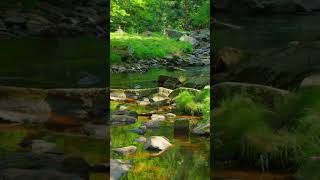 Soft Relaxing Music for Stress Relief - Meditation Music, Sleep Music, Soothing Music, Ambient Music