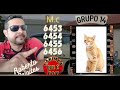 Promotor Roberto.27/11/2025.Palpites RJ look SP NC Federal Boa sorte 😎☘️