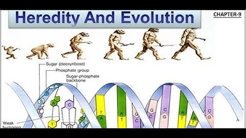 Heredity and evolution || class 10 CBSE || animated video || part 3 || science seekers ||