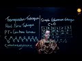 Master Transposition Techniques in Cryptography with Prof. Priyanka Sorte π