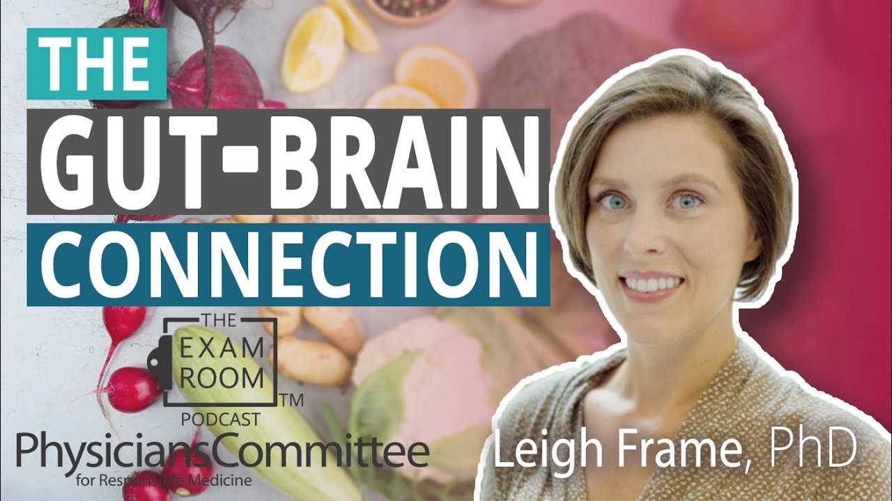 The Gut-Brain Connection