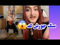 الپچینو و لینا الپچینو و لینا