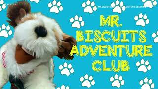 Mr Biscuits Adventure Club: Medina teacher brings the NFL Draft to life in a new way for students