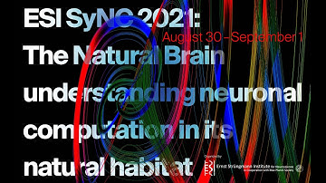 Nachum Ulanovsky: Neural codes for natural behaviors in flying bats | ESISyNC 2021