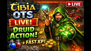 Tibia OTS Druid Live 🧙‍♂️ Chill Solo Grinding | Relax Gameplay