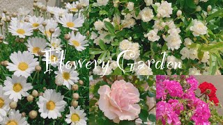 《花いっぱいの庭》ガーデニング《T's Garden》