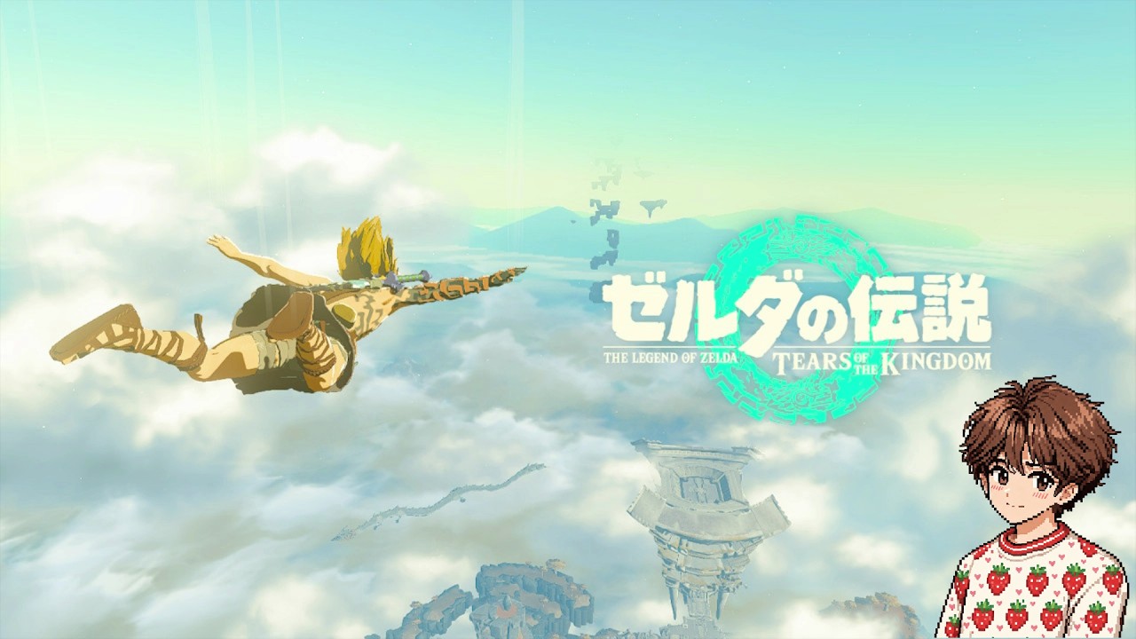 Switch】 #0008 ゼルダの伝説 ティアーズオブザキングダム The Legend