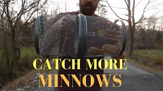 Minnow Trap Review Black Vs Silver
