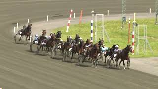 Vidéo de la course PMU LOPP 4