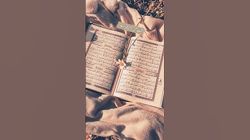 #عبدالرحمن_مسعد #القرآن_الكريم  احترم القران الكريم بصوت عبد الرحمن مسعد ❤️