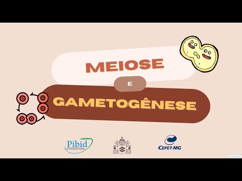 Video: Is meiose en gametogenese dieselfde?